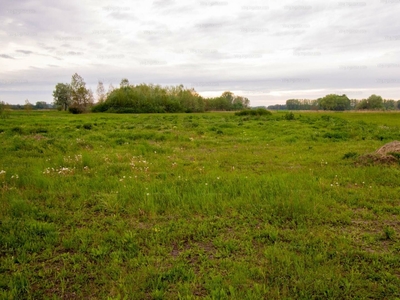 Eladó lakóövezeti telek - Nagybajcs, Győr-Moson-Sopron megye