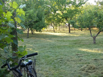 Eladó lakóövezeti telek - Orosháza, Gábor Áron utca