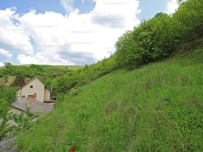 Eladó lakóövezeti telek - Pécs, Sas dűlő 16.