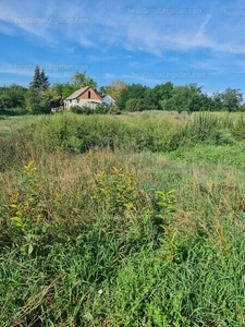 Eladó lakóövezeti telek - Sárosd, Fejér megye