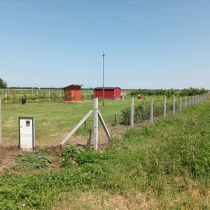 Eladó lakóövezeti telek - Szabadkígyós, Széchenyi utca