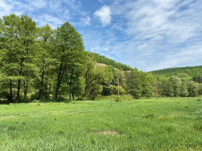 Eladó lakóövezeti telek - Szarvaskő, Egri út 1.