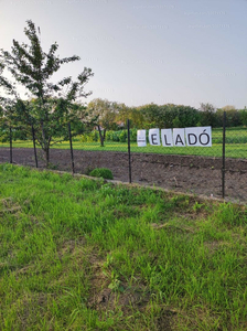 Eladó lakóövezeti telek - Tác, Petőfi Sándor utca