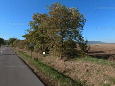 Eladó lakóövezeti telek - Tarján, Komárom-Esztergom megye