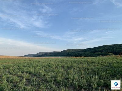 Eladó lakóövezeti telek - Tarján, Nefelejcs utca