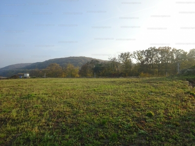 Eladó lakóövezeti telek - Tarján, Szőlőhegy utca