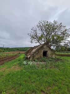 Eladó mezőgazdasági ingatlan - Balatoncsicsó