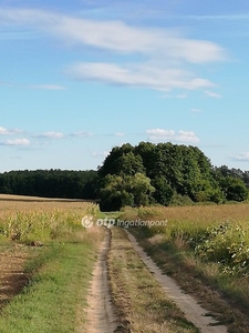 Eladó mezőgazdasági ingatlan - Hetes