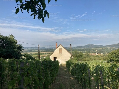 Eladó pince, présház - Kisapáti, Szent György-hegy