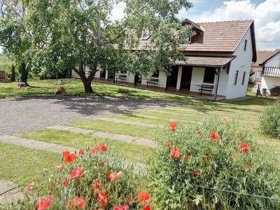 Eladó szálloda, hotel, panzió - Abádszalók, Üdülőtelep