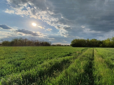 Eladó tanya - Algyő, Rákóczitelep