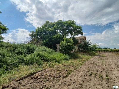 Eladó tanya - Csengőd, Bács-Kiskun megye