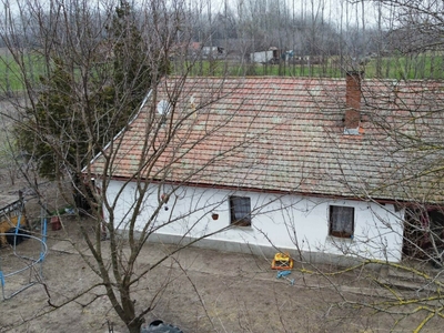 Eladó tanya - Csengele, Csongrád-Csanád megye