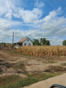 Eladó tanya - Debrecen, Hajdú-Bihar megye