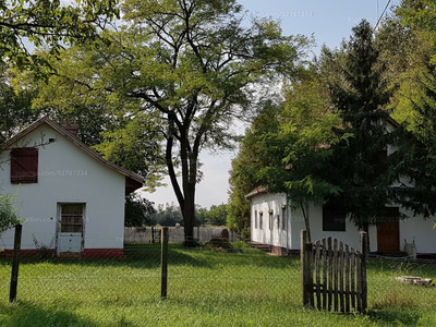 Eladó tanya - Kiskunmajsa, Ágasegyházadűlő