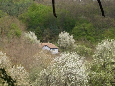 Eladó tanya - Salgótarján, Orgona utca