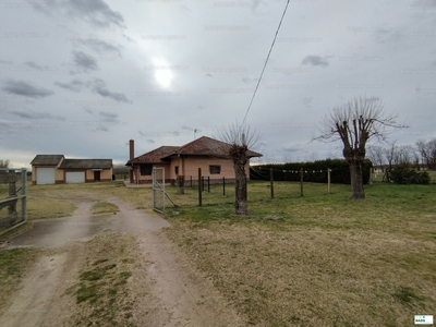 Eladó tanya - Szank, Bács-Kiskun megye