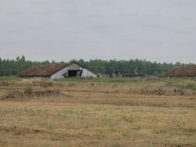 Eladó tanya - Tiszacsege, Hajdú-Bihar megye