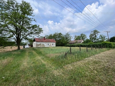 Eladó tanya - Tiszakécske, Bács-Kiskun megye