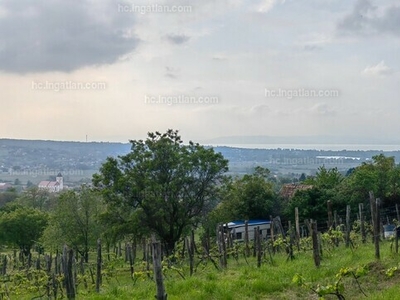 Eladó termőföld, szántó - Kőröshegy, Borochegy