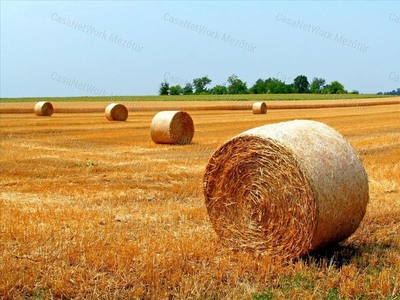 Eladó termőföld, szántó - Mezőtúr