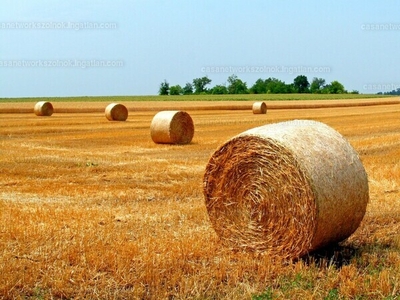 Eladó termőföld, szántó - Mezőtúr, Belváros