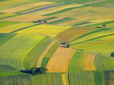 Eladó termőföld, szántó - Pilis, Pest megye