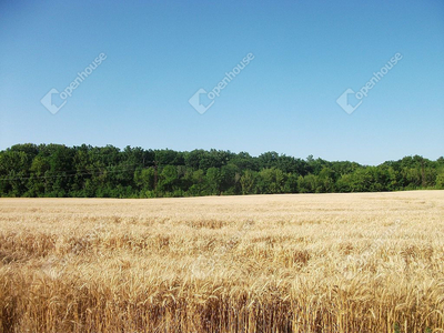 Eladó termőföld, szántó - Székesfehérvár