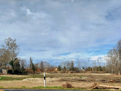 Eladó üdülőövezeti telek - Balatonszárszó, Üdülőövezet