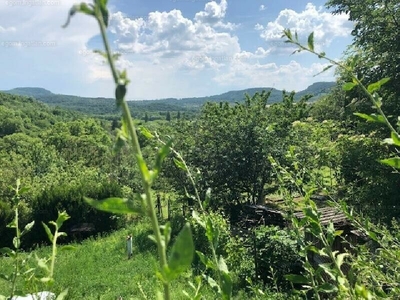 Eladó üdülőövezeti telek - Esztergom, Komárom-Esztergom megye