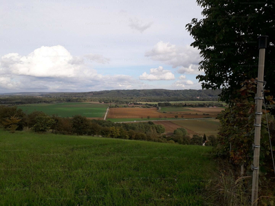 Eladó üdülőövezeti telek - Lenti, Máhomfaihegy