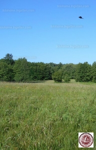 Eladó üdülőövezeti telek - Nagykanizsa, Látóhegy