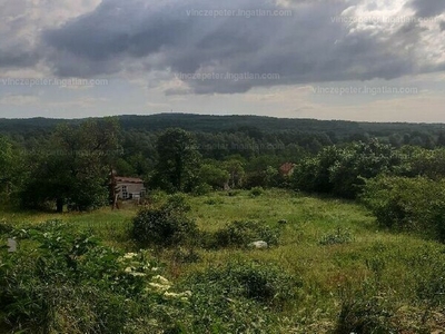 Eladó üdülőövezeti telek - Pákozd, Berkenye utca