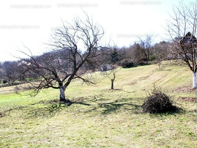 Eladó üdülőövezeti telek - Pázmánd, Szőlőhegy