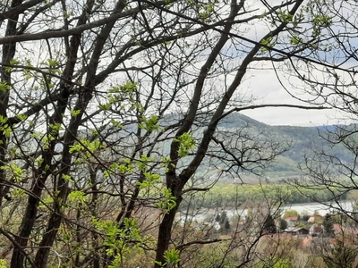 Eladó üdülőövezeti telek - Verőce, Pest megye