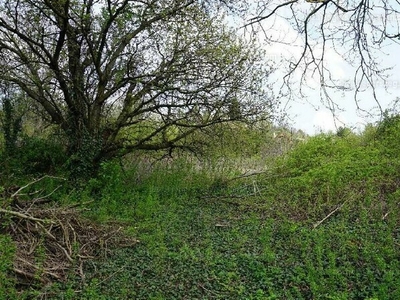 Eladó üdülőövezeti telek - Zalaegerszeg, Csácsbozsok