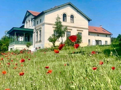 Kiadó kastély - Balatonakali, Veszprém megye