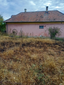 Kiadó raktárhelyiség - Debrecen, Haláp