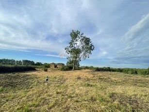 Hajdúszovát, ingatlan, mezőgazd. ingatlan, 4267 m2, 13.000.000 Ft