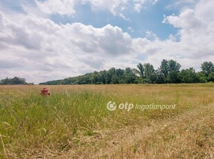 Nagyrév, ingatlan, telek, 2.990.000 Ft