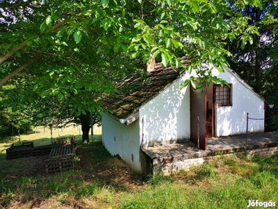 Balatonberény szőlőhegyén takaros pince eladó! - Balatonberény, Somogy - Nyaralók, üdülők