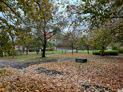 Eladó átlagos állapotú lakás - Esztergom