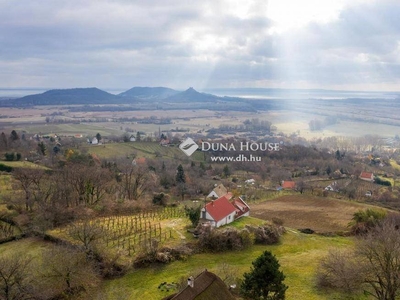 Hegymagasi 64290 nm-es szőlős eladó #4239821 - Hegymagas, Veszprém - Szőlőskert-pince