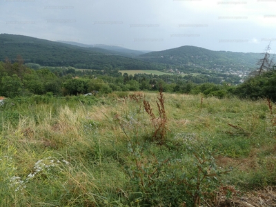 Eladó üdülőövezeti telek - Verőce, Pest megye