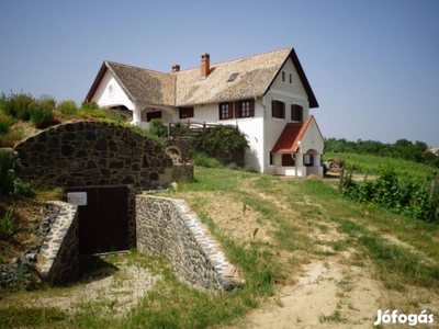 Balaton-Felvidéken Szőlőtermelő És Borgazdaság Eladó