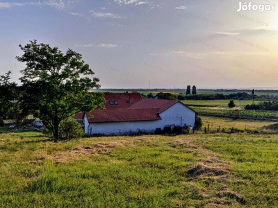 Lovastanya közel a Balaton-parthoz, nagy területtel