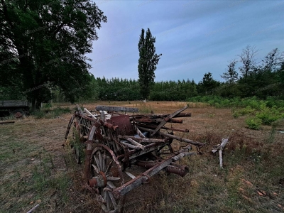 Eladó tanya - Jászberény