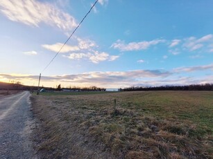 Eladó mezogazdasagi ingatlan Gödöllő