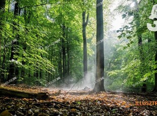 Eladó telek Kecskemét