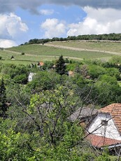 Patacs, Pécs, ingatlan, telek, 15.000.000 Ft